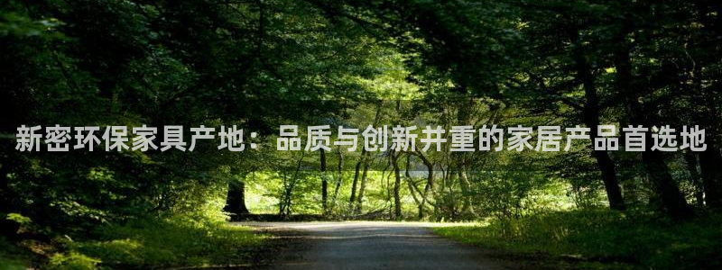 杏宇登陆：新密环保家具产地：品质与创新并重的家居产品首选地