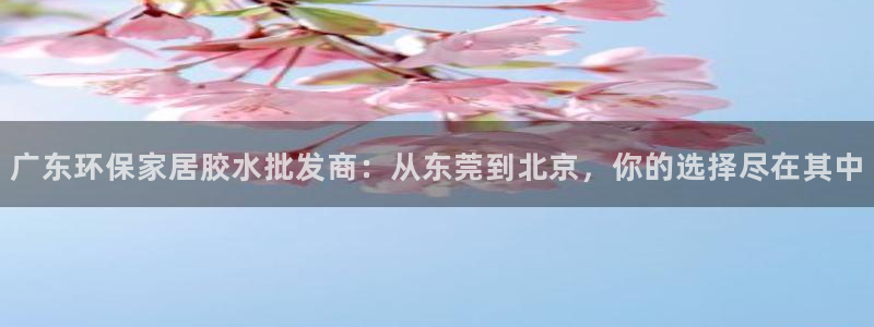 杏宇平台登陆官网