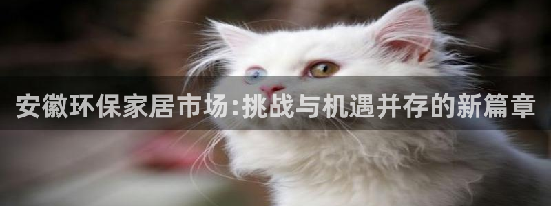 杏宇平台的专用通道：安徽环保家居市场:挑战与机遇并存的新篇章