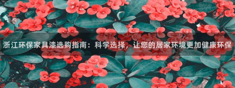 杏宇平台娱乐登陆：浙江环保家具漆选购指南：科学选择，让您的居
