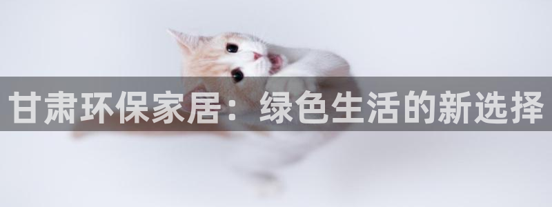 杏宇平台代理怎么赚钱的