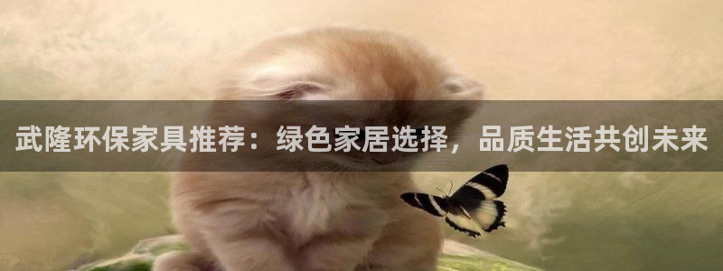 杏宇登录测速：武隆环保家具推荐：绿色家居选择，品质生活共创未