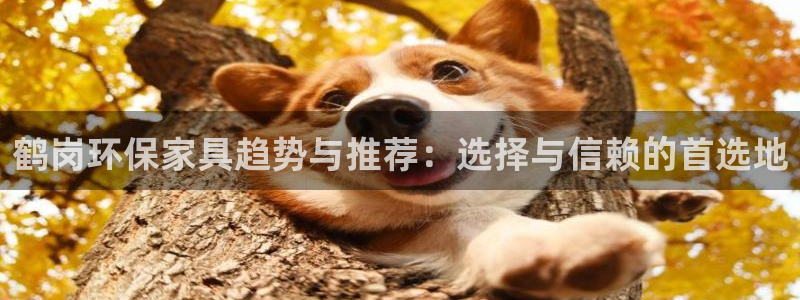 杏宇注册地址：鹤岗环保家具趋势与推荐：选择与信赖的首选地