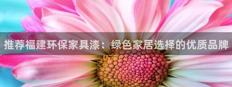 杏宇平台待遇：推荐福建环保家具漆：绿色家居选择的优质品牌