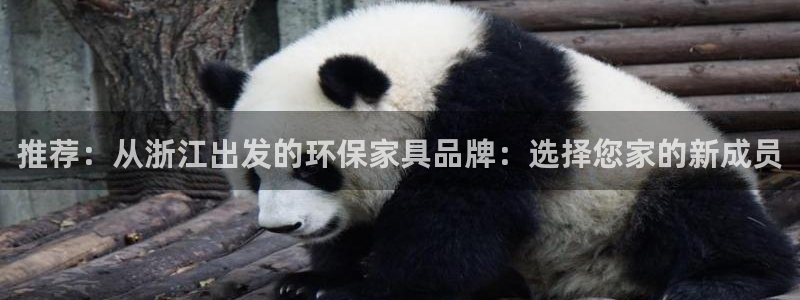 杏宇代理连接