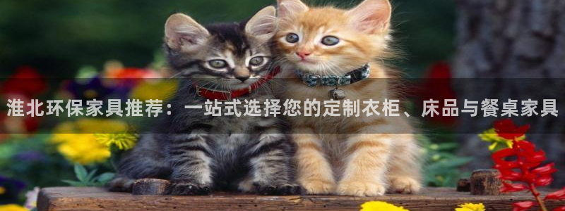 杏宇平台官方登陆：淮北环保家具推荐：一站式选择您的定制衣柜、