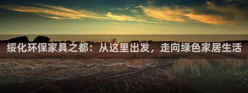 杏宇总代理：绥化环保家具之都：从这里出发，走向绿色家居生活