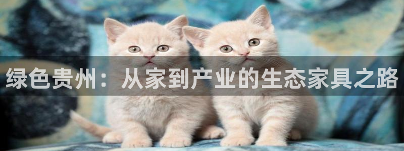 杏宇平台分红：绿色贵州：从家到产业的生态家具之路