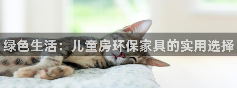 杏宇平台代理怎么赚钱：绿色生活：儿童房环保家具的实用选择