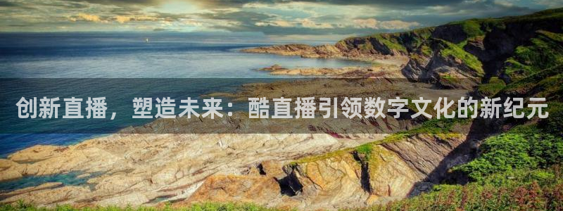 鲸鱼体育直播在线观看高清