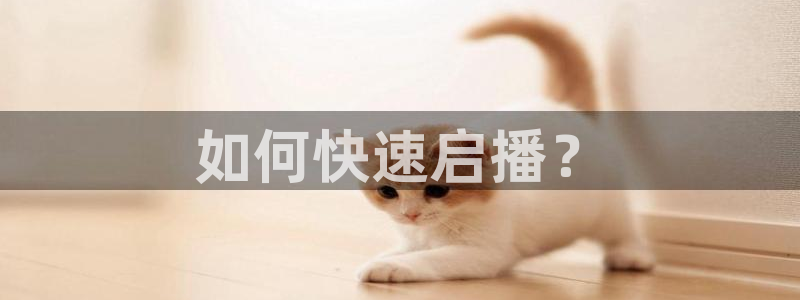 鲸鱼体育赛事直播：如何快速启播？