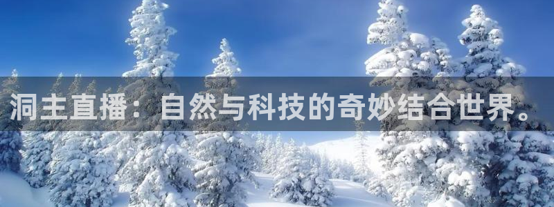 鲸鱼体育免费直播nba：洞主直播：自然与科技的奇妙结合世界。