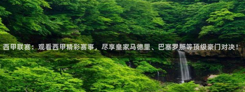 nba直播鲸鱼：西甲联赛：观看西甲精彩赛事，尽享皇家马德里、巴塞罗那等顶级豪门对决！