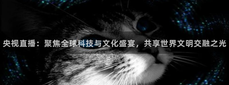 jytv02 鲸鱼体育直播：央视直播：聚焦全球科技与文化盛宴，共享世界文明交融之光