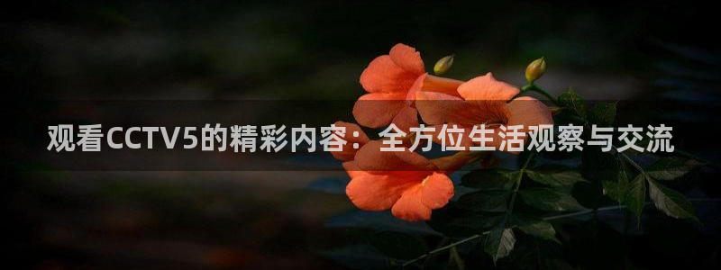 鲸鱼体育在线：观看CCTV5的精彩内容：全方位生活观察与交流