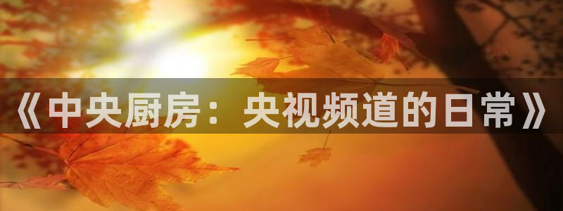 鲸鱼体育tv.点我直达.org：《中央厨房：央视频道的日常》