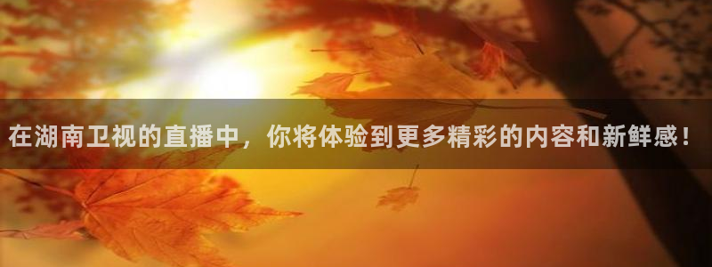鲸鱼体育在线观看nba：在湖南卫视的直播中，你将体验到更多精彩的内容和新鲜感！