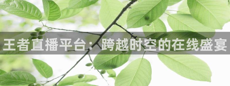 鲸鱼tv官网：王者直播平台：跨越时空的在线盛宴