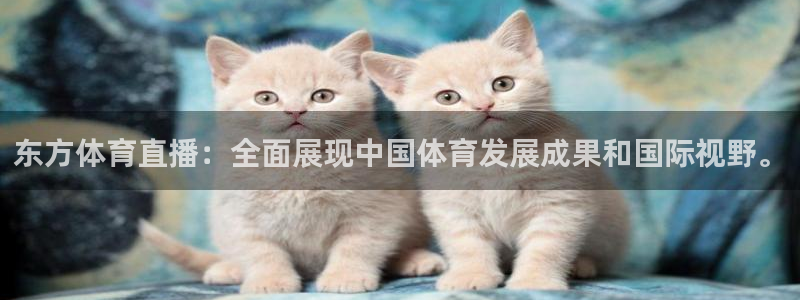 鲸鱼tv：东方体育直播：全面展现中国体育发展成果和国际视野。