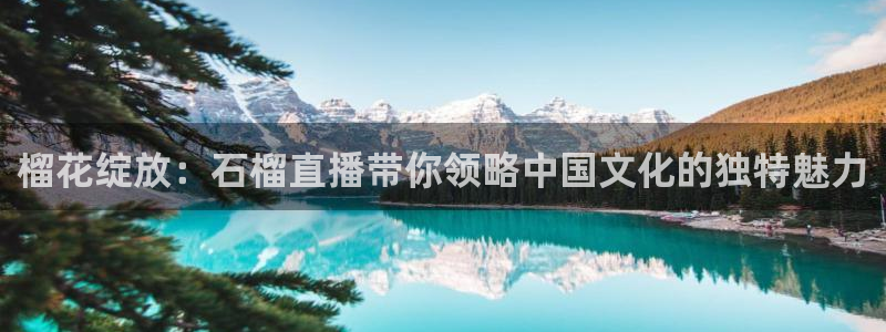 鲸鱼体育在线直播免费：榴花绽放：石榴直播带你领略中国文化的独特魅力