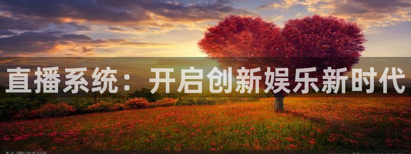 足球鲸鱼直播：直播系统：开启创新娱乐新时代